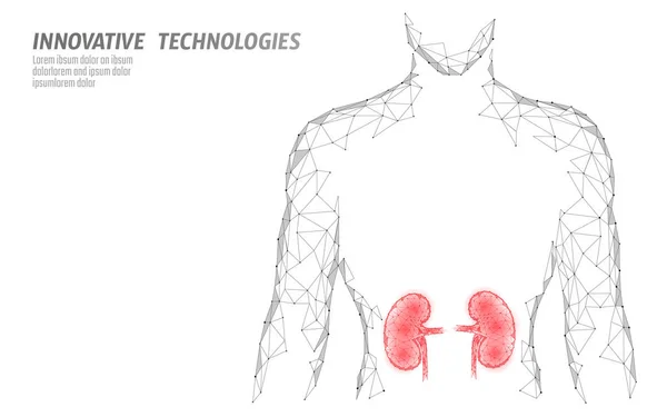 Nieren internes Organ Männer Silhouette 3d Low Poly geometrisches Modell. urologische systemmedizinische Behandlung. zukünftige Wissenschaftstechnologie polygonale geometrische Drahtgittervektorillustration — Stockvektor