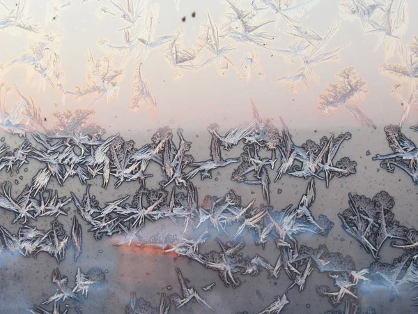 Bird shape frost ice crystals formations on a window glass. Frostwork pattern on morning light pink sunny sky background. Macro closeup.