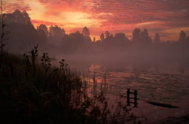 Huzurlu göl üzerinde güzel turuncu pembe gökyüzü. Foggy sonbahar gündoğumu. Ağaçlar siluet, yalnız sessiz orman dock, bitkiler, duman sis hala sakin su bataklık. Rusya Moskova alan doğa ahşap manzara