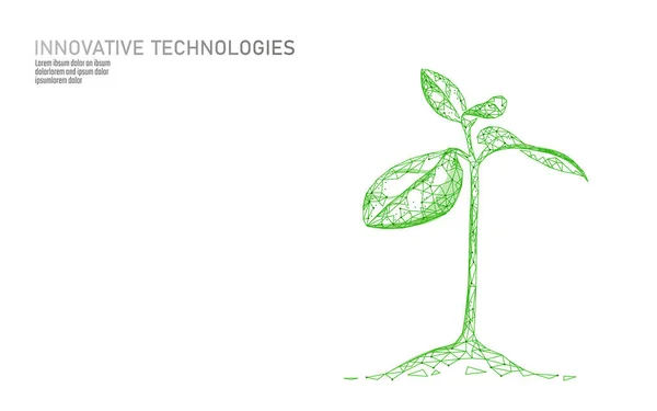 植物生態学的な抽象的概念を芽します。3 d レンダリング苗木の葉。地球自然環境保存成長生活エコ多角形の三角形の低ポリ ベクトル図 — ストックベクタ