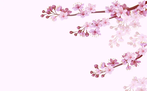 Realistische chinesische rosa Sakura Hintergrund auf weichem rosa Hintergrund. orientalische Muster Blume Blüte Frühling Hintergrund. 3D Natur Hintergrund Vektor Illustration — Stockvektor