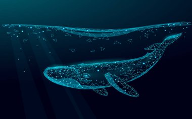 Düşük poli 3d balina sualtı yüzme. Su okyanus yüzeyi karanlık gece parlayan dalga. Büyük kambur balina deniz vahşi yaşam göçü. Üçgen çokgen vektör çizimi