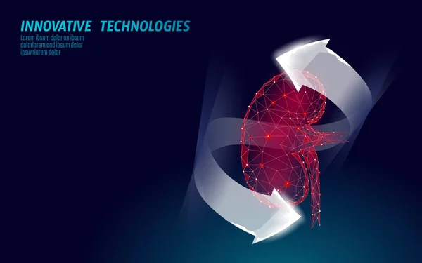 Friska njure inre organ 3d låg poly geometrisk modell. Behandling av sjukdomar i urologiska systemet. Framtida vetenskap teknik glödande pilar vektor illustration — Stock vektor