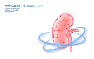 Sağlıklı böbrek iç organı 3d düşük polimetrik model. Üroloji sistemi ilaç tedavisi. Geleceğin bilim teknolojisi parlayan oklar vektör çizimi