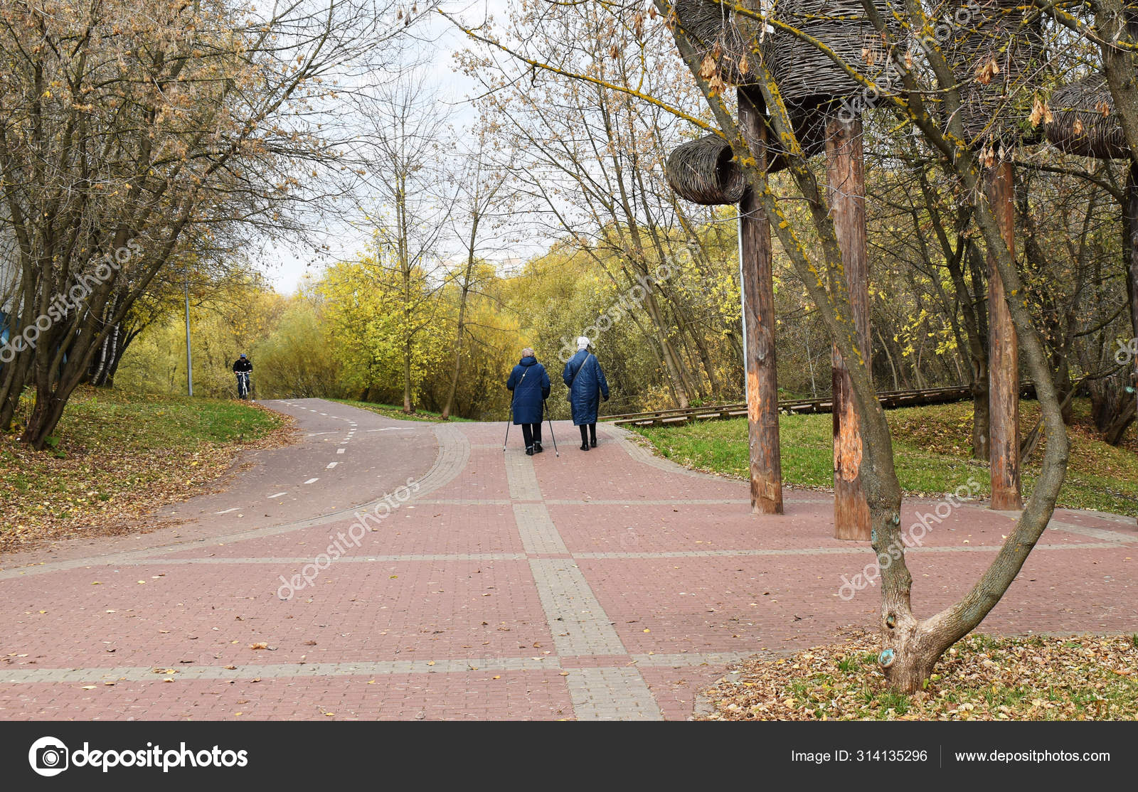 walking with sticks sport