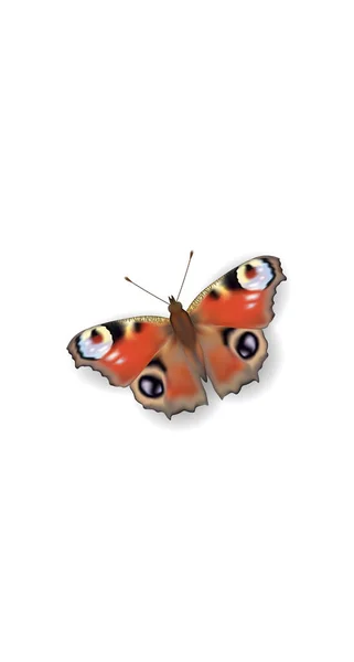 3D realista Peacock mariposa cubierta de medios sociales. Destaca historias aisladas plantilla de fondo blanco. Verano viaje tema concepto vector ilustración — Vector de stock