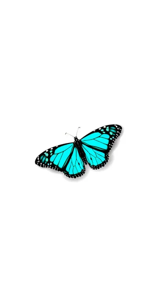 Monarch Danaida realistis 3D kupu-kupu penutup media sosial. Sorotan cerita terisolasi latar belakang putih. Ilustrasi konsep perjalanan musim panas konsep vektor - Stok Vektor