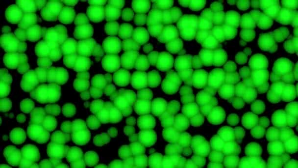 3 차원 사실적 매크로 Chlorella 세포 군집. 녹색에 너지 바이오 연료 식량 보충. 엽록소는 건강 한 식사를 제공 한다. 녹색 해초 박테리아 생태학적 개념 애니메이션 — 비디오