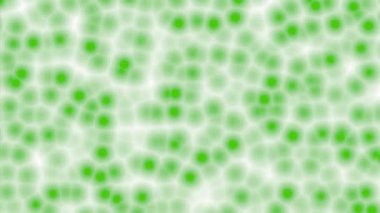 3 boyutlu gerçekçi makro klorella hücre kolonisi. Yeşil enerji biyoyakıt gıda takviyesi. Klorofil kaynağı sağlıklı beslenme. Yeşil bitki deniz yosunu bakterisi ekolojik konsept animasyon