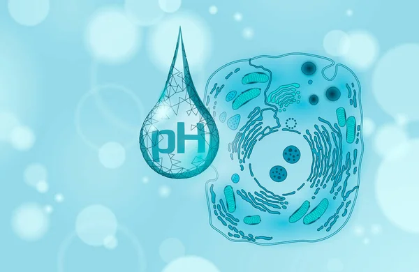 물 pH 연구소 화학 분석 과학 기술. 학교 연구 현미경 데이터 잠재 시험. 의학 건강 개념 벡터 삽화 — 스톡 벡터