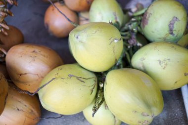 Plaj gıda pazarında bir yığın tropikal hindistan cevizi..