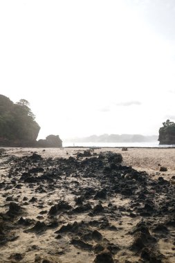 Plajda tropikal deniz kıyısında samanla hindistan cevizi kokteyli içmek. Beyaz kumsal rahatla. Egzotik tatil cenneti plajı