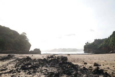 Plajda tropikal deniz kıyısında samanla hindistan cevizi kokteyli içmek. Beyaz kumsal rahatla. Egzotik tatil cenneti plajı
