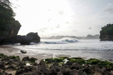 Plajda tropikal deniz kıyısında samanla hindistan cevizi kokteyli içmek. Beyaz kumsal rahatla. Egzotik tatil cenneti plajı