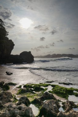 Plajda tropikal deniz kıyısında samanla hindistan cevizi kokteyli içmek. Beyaz kumsal rahatla. Egzotik tatil cenneti plajı