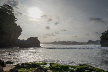 Plajda tropikal deniz kıyısında samanla hindistan cevizi kokteyli içmek. Beyaz kumsal rahatla. Egzotik tatil cenneti plajı