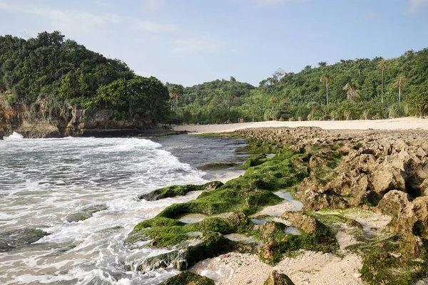 Batu Bengkung Sahili Nde Çok Güzel Deniz Köpüğü Var Malang — Stok fotoğraf