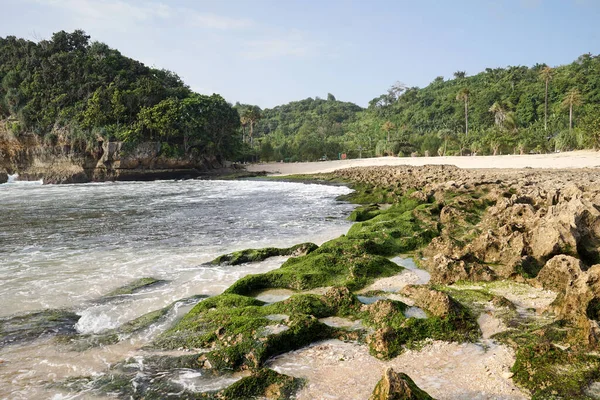 Batu Bengkung Sahili Nde Çok Güzel Deniz Köpüğü Var Malang — Stok fotoğraf