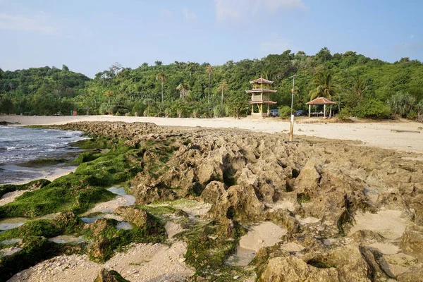 Batu Bengkung Sahili Nde Çok Güzel Deniz Köpüğü Var Malang — Stok fotoğraf