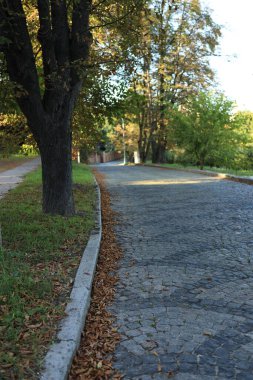 Sakin bir kaldırım taşı yolu sessiz bir parkın içinden geçiyor, düşen yapraklarla süslenmiş ve bereketli ağaçlarla çevrili bir sonbahar sahnesinde öğleden sonra geçiyor..