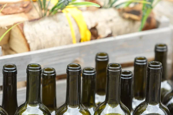 Empty wine bottles stand in a row