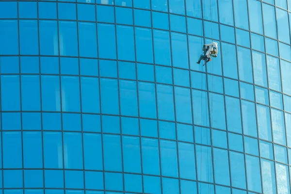 Industrial climber washes office building glasses