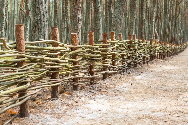 Fence made of wooden rods in the forest. Wicker fence made of twigs