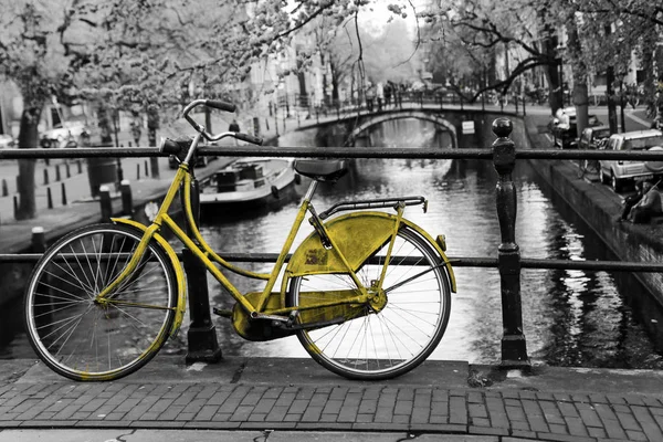 Amsterdam 'da kanal üzerindeki köprüde yalnız sarı bir bisikletin resmi. Arkaplan siyah beyaz. 