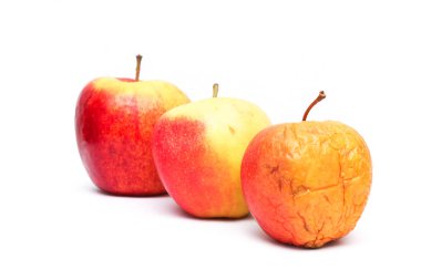 A picture of three ordinary apples, without modifications..as you know from the shop. The picture shows the maturing of the apples. One is fresh, one is older and one is dry.  clipart