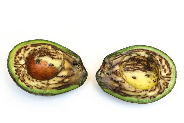 Een Foto Van Een Lelijke Rotte Avocado Fruit Het Zaad — Stockfoto