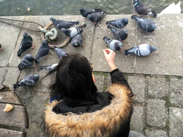 Uma Rapariga Está Alimentar Pidgeons Beira Rio Muitos Deles Estão — Fotografia de Stock