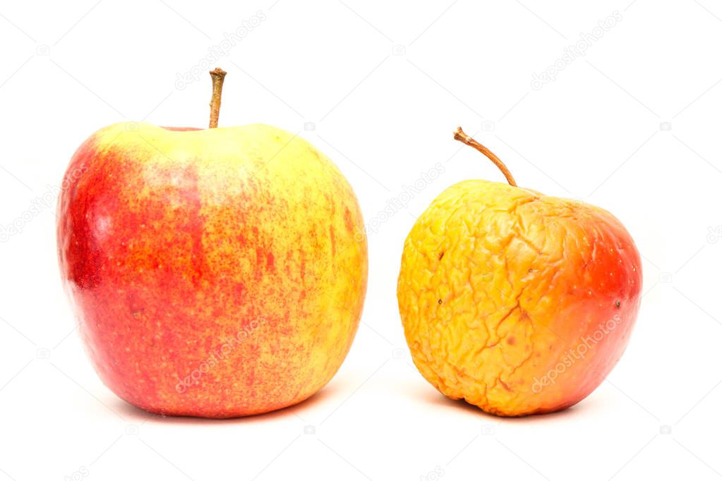 A picture of two ordinary apples, without modifications..as you know from the shop. The picture shows the maturing of the apples. One is fresh and one is dry. 