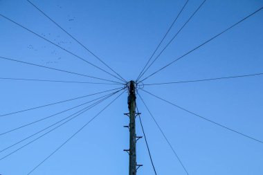 Gökyüzüne karşı tek bir düğüm içine bağlı etrafında birçok kablo ile tek bir kutup. Kablolar direğin üst kısmındaki ışınlara benziyor.. 