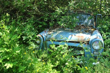 Arabalar batıklar içinde İsveç ormanlara döndü. Doğa yavaş yavaş kontrol alıyor. 