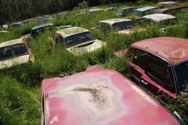 Arabalar batıklar içinde İsveç ormanlara döndü. Doğa yavaş yavaş kontrol alıyor. 