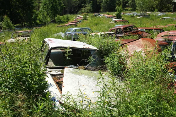 Автомобілі Перетворилися Уламки Глибоко Шведських Лісах Природа Повільно Контролює — стокове фото