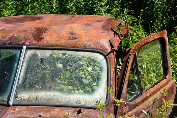 Los Coches Convirtieron Naufragios Profundos Los Bosques Suecos Naturaleza Está — Foto de Stock