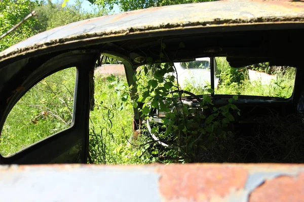 Carros Transformaram Destroços Nas Florestas Suecas Natureza Está Lentamente Tomando — Fotografia de Stock