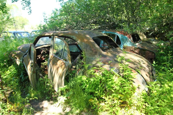 Cars turned into wrecks deep in swedish forests. The nature is slowly taking control.