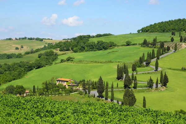 Uma Vista Bela Paisagem Toscana Com Seus Becos Cipreste Estradas — Fotografia de Stock
