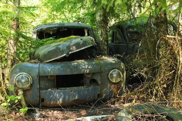 Los Coches Convirtieron Naufragios Profundos Los Bosques Suecos Naturaleza Está — Foto de Stock