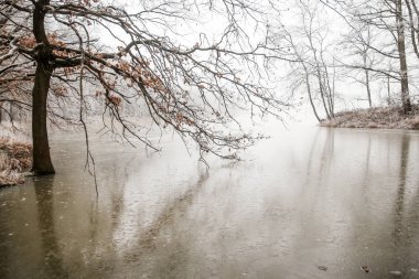 Erken kış aylarında Çek Cumhuriyeti 'nde gölet bir resim. 