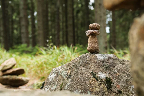 View Beautiful Primeval Forest National Park People Making Towers Stones — Stock Photo, Image