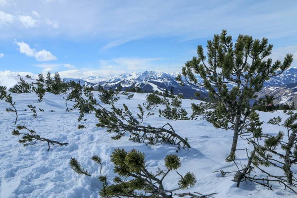 Una Foto Del Día Soleado Los Alpes Austriacos Visibilidad Genial —  Fotos de Stock