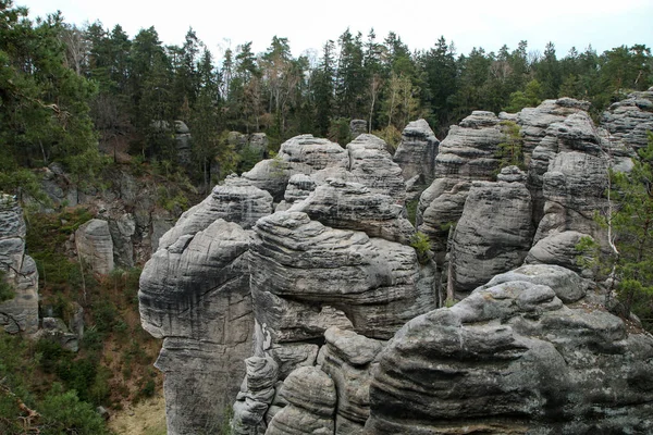 Area Czech Republic Called Prachovsk Skly Prachovsk Rocks Attraction Sight — Stock Photo, Image