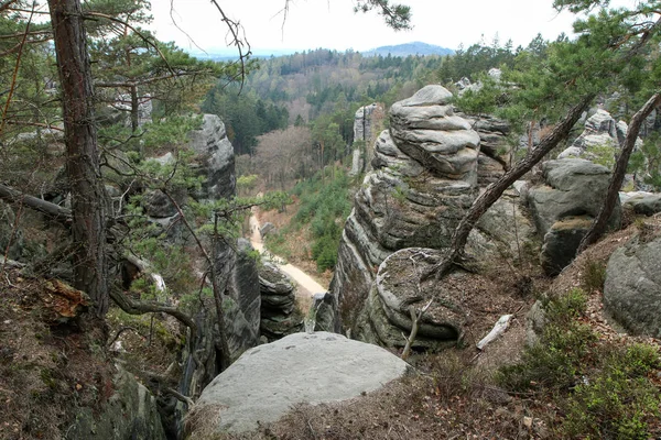 Area Czech Republic Called Prachovsk Skly Prachovsk Rocks Attraction Sight — Stock Photo, Image