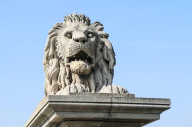 Budapeşte, Macaristan'da zincir köprü nün aslan heykelinin detay resmi. 
