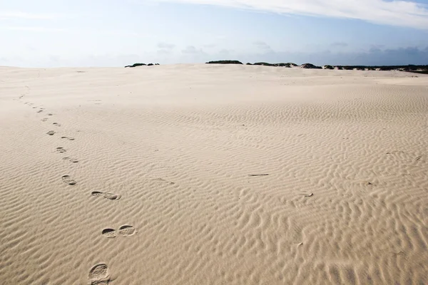 Une Dune Sable Danemark Grande Pays — Photo