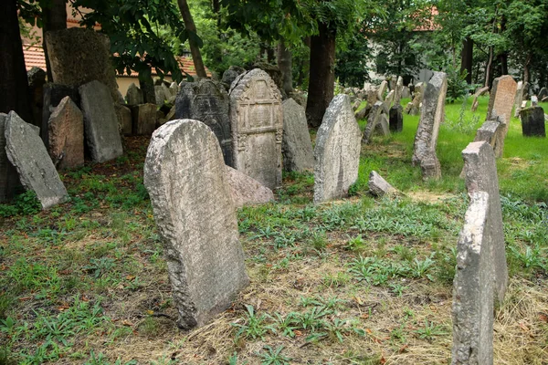 Zeer Oude Joodse Begraafplaats Met Veel Shabby Stenen Grafstenen — Stockfoto