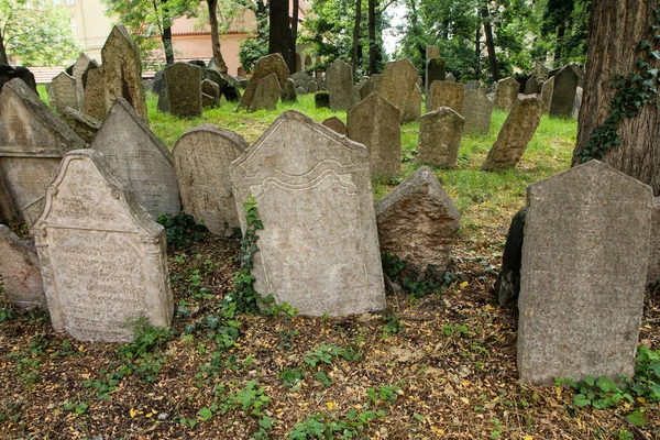 The very old jewish cemetery with a lot of shabby stone tombstones.